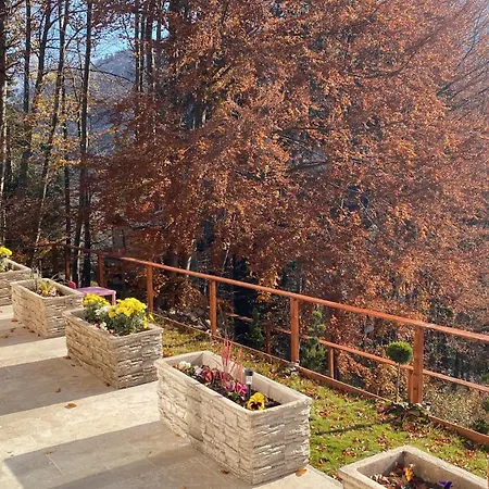 Stone Apartment With Sauna Sinaia Exterior photo