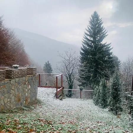 Stone Apartment With Sauna Sinaia Exterior photo