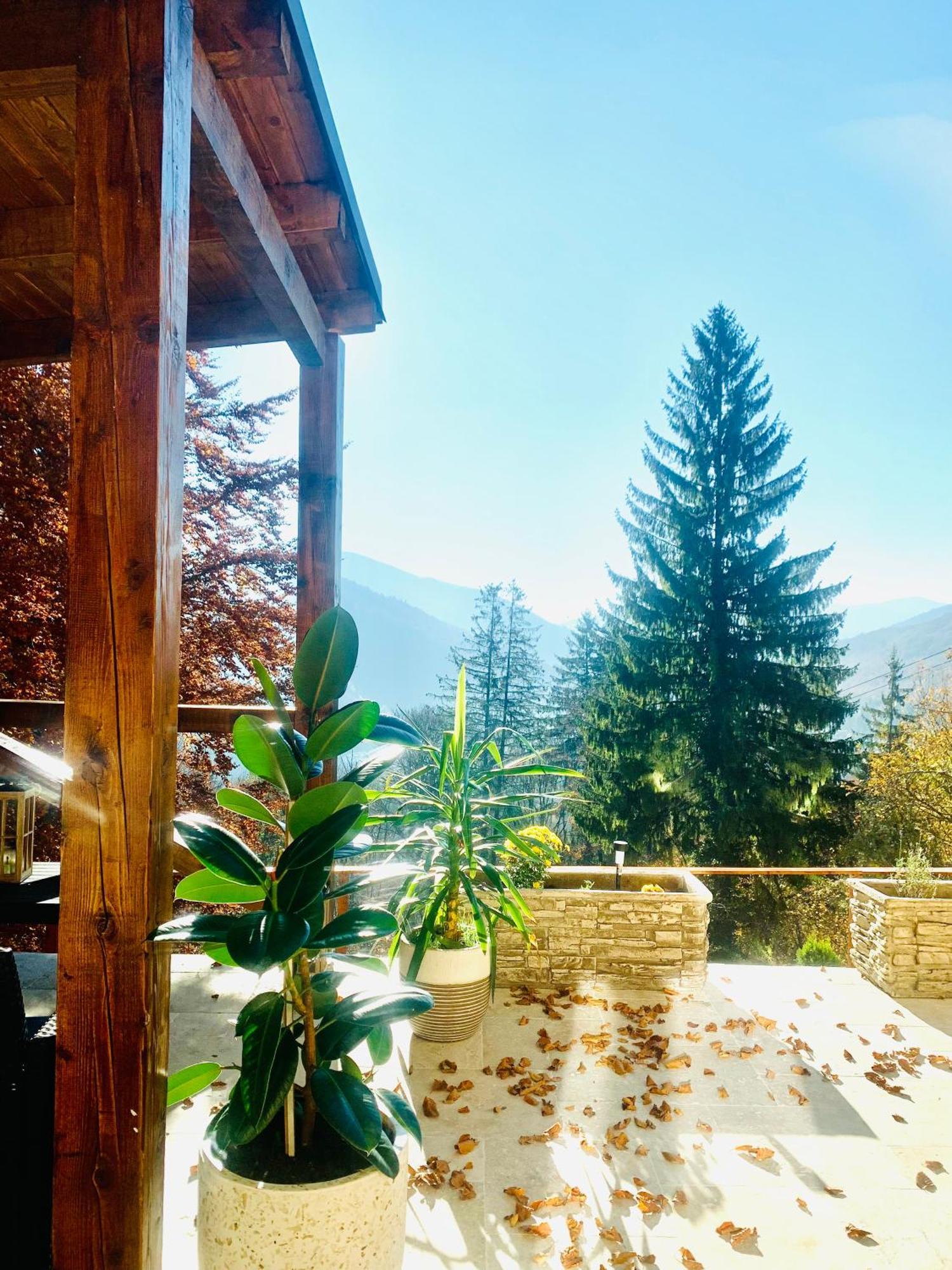 Stone With Sauna * Sinaia