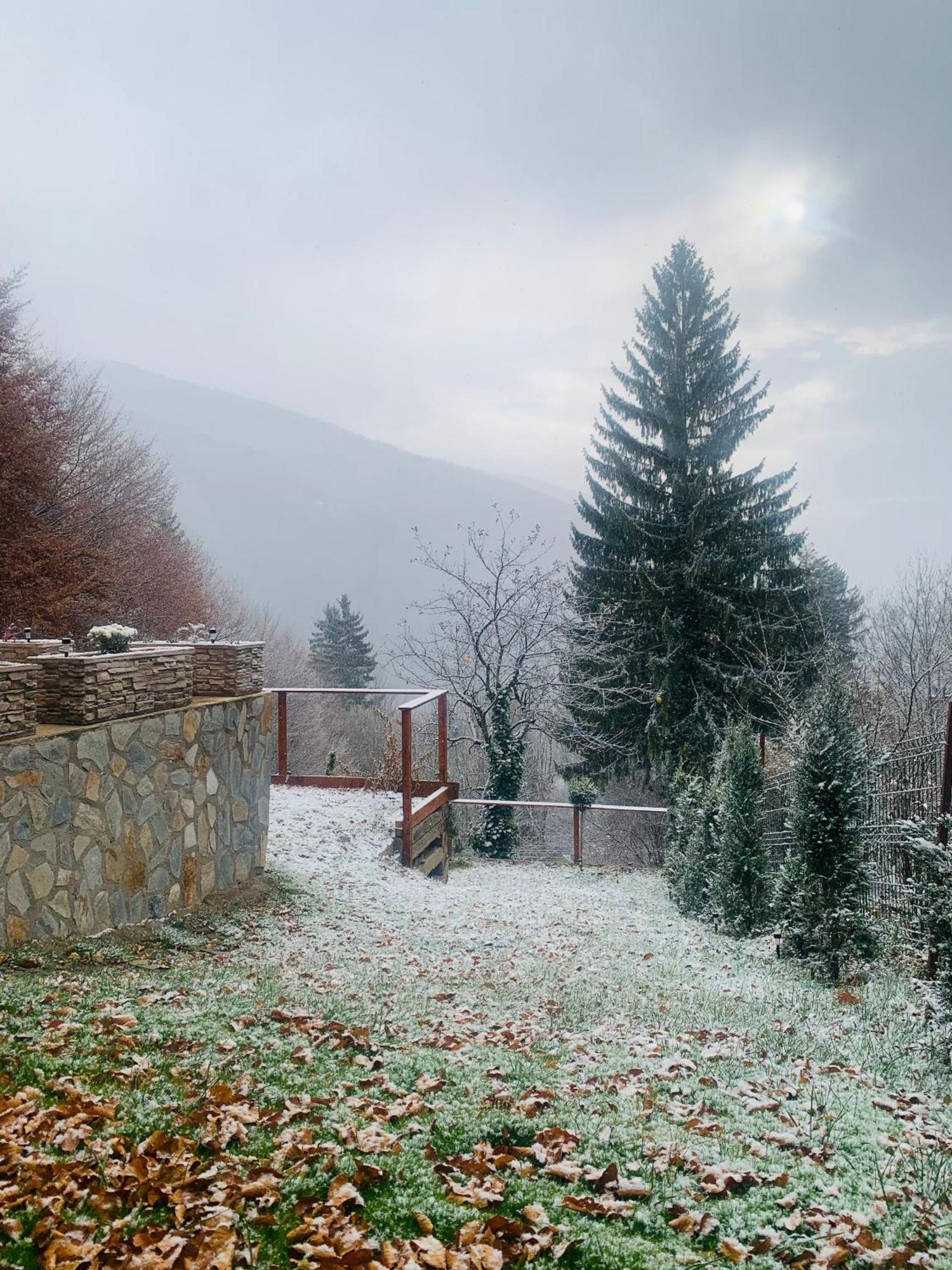 Stone With Sauna Sinaia