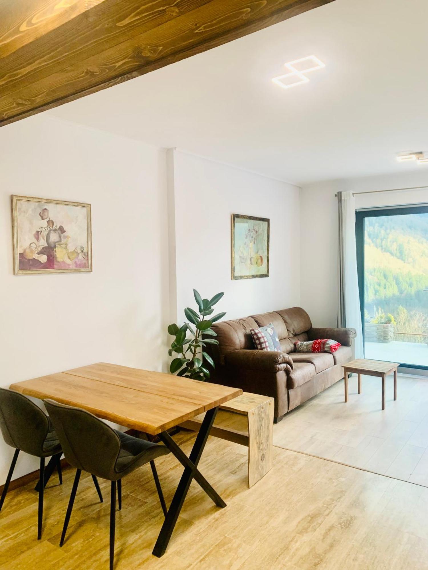 Stone With Sauna Apartment Sinaia